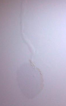 墻內水管漏水怎么辦呢？