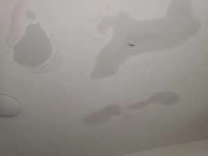 屋頂漏水zui實用的解決辦法!